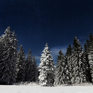 国产亚洲欧美在线观看三区
